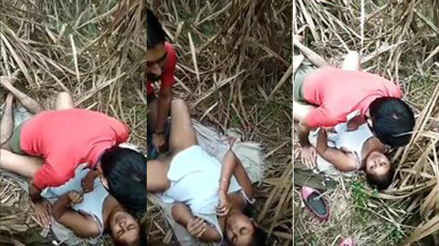 Desi Cute Girl Sex In Jungle Her Boyfriend Mms Video